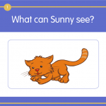 ปก sunny