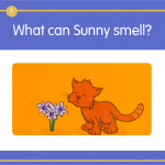 ปก sunny3