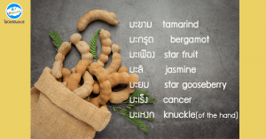 web on FB tamarind-01
